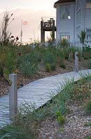 Wooden, decked walkway in coastal garden. 