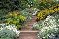 Sandstone terrace and steps with mixed spring planting 