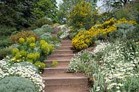 Sandstone terrace and steps with mixed spring planting 