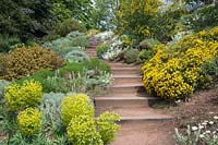 Sandstone terrace and steps with mixed spring planting