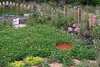 Clover lawn with small pond and curved dry stone bench backed with timber palisade, fencing posts with insect hotels in semi wild garden. RHS Hampton Court Festival 2019.