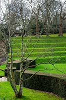 Dartington Hall Gardens, near Totnes, Devon, Spring. 