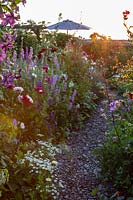 The Old Stone Cottage, Beesands, South Devon. Gravel pathway between annual flowers in cottage garden.