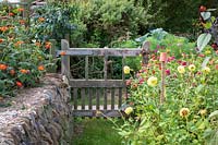 Garden Cottage at Gunwalloe in Cornwall. Cottage garden in autumn. Gate into the cutting garden.