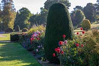 Forde Abbey, Somerset, UK. Topiary in the autumnal borders