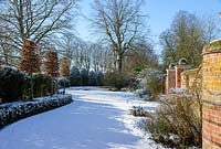 Pleached Carpinus - Hornbeam under planted with Buxus - box, large Taxus baccata - Yew domes. Brick pillars with stone balls. Borders with Roses, shrubs and perennials. Snow in January.