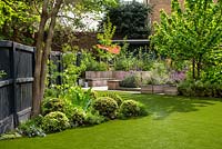 View of the flower bed with Pittosporum tenuifolium 'Tom Thumb' and Angelica sylvestris and the garden with artificial grass and seating area.  