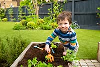 A kid planting herbes in the raised bed.