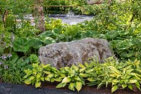 Large stone boulder surrounded by Hosta 'June' and Farfugium japonicum 'Giganteum' - The Smart Meter Garden, RHS Hampton Court Palace Flower Festival 2019