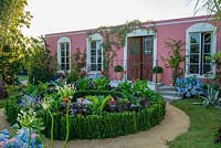 Clipped box hedging with Canna lilies in a Caribbean style garden - The Dream of the Indianos Garden, RHS Hampton Court Palace Flower Festival 2019