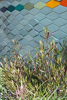 Dodonaea viscosa 'Purpurea' next to 3D wall cladding. RHS Hampton Court Palace Garden Festival 2019.