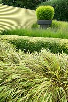 Hugh pot with grasses, bamboo and buxus planted in lines.