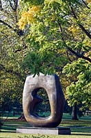 Henry moore sculpture framed by Toona sinensis - Chinese Cedar