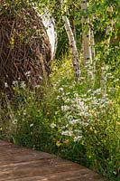 Naturalistic planting with Leucanthemum vulgare - Ox-eye daisies and Betula pendula - Silver Birch - and a woven willow arch. RHS Hampton Court Palace Garden Festival 2019. Sponsor: Thames Water.