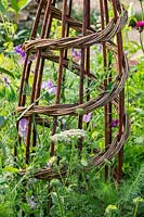 Lathyrus odoratus - Sweet Peas - grow up a natural, handmade woven willow obelisk for support. RHS Hampton Court Palace Garden Festival 2019. Sponsor: Belvoir Fruit Farms.