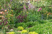 A naturalistic wildlife-friendly garden with colourful flowers including Digitalis and a lawn of Trifolium repens - White Clover, providing a habitat for wildlife, birds, insects and bees. RHS Hampton Court Palace Garden Festival 2019.