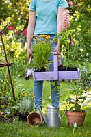 Girl holding a trug of young plants in a summer garden