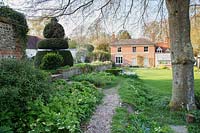 View of house across garden including clipped topiary, Helleborus and Narcissus:  Little Court, Hampshire, UK