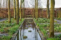 Rectangular pond or rill with a border of trees underplanted with Galanthus - Snowdrop - and Helleborus orientalis