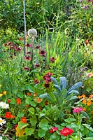 Mixed planting of vegetables, herbs and flowers