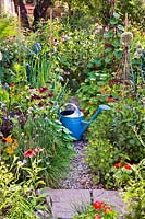 Watering can on a path amongst mixed summer borders of vegetables, herbs and flowers