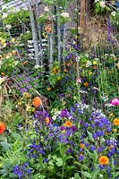 The Childrens garden with lots of colurful planting and a wildlife bug house in the Montessori Centenary Children's Garden at RHS Chelsea Flower Show 2019