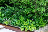 The RHS Chelsea Flower Show 2019. Garden: Kampo No Niwa Garden. Green foliage planting.