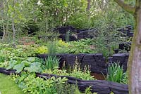 The M and G Garden: Extensive woodland planting amongst ancient rock sculptures made from burnt oak timber. Sponsors: M and G Investments. Rhs Chelsea flower show 2019.