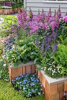 Salvia, Digitalis, Argeratum and Lavandula planted in raised timber boxes - RHS Chelsea Flower Show 2019