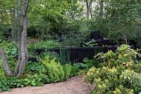 The M and G Garden. A lush woodland with blackened timber sculptures by Johnny Woodford, creating a dramatic backdrop for green under storey planting. Sponsor: M and G Investments.