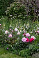 The Roots in Finland Kyro Garden. Herbaceous peonies jostle with foxgloves and hardy geraniums. Behind, a meadow of wildflowers. Sponsors: Kyro Distillery Company. RHS Chelsea Flower Show 2019.