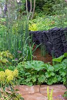 Lush green plants including Gunnera and Equisetum hyemale - The M and G Garden, RHS Chelsea Flower Show 2019