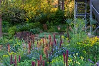 The Resilience Garden, RHS Chelsea Flower Show 2019 - Morning light falling on mixed planting of Digiplexus, Echium russicum and Linum perenne 