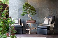 Seating next to a large bonsai tree - The Morgan Stanley Garden, RHS Chelsea Flower Show 2019.