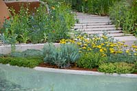 Planting of Achillea tomentosa in a poolside bed - The Dubai Majlis Garden, RHS Chelsea Flower Show 2019.