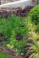 Border with hazel edging, plants include Erigeron karvinskianus, Loropetalum, Carex and Ajuga reptans - Miles Stone: The Kingston Maurward Garden, RHS Chelsea Flower Show 2019.