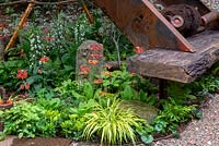 Shady border with Hakenacloa alba aurea, Primula 'Inverewe' and Digitalis purpurea alba - The Walker's Forgotten Quarry Garden, RHS Chelsea Flower Show 2019