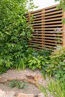Slatted wooden fence providing a backdrop to shade tolerant plants next to a clear pool - Kampo no Niwa, RHS Chelsea Flower Show 2019