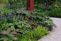 Mixed planting of Rodgersia, Hakonechloa macra and Iris sabirica - RHS Bridgewater Garden, RHS Chelsea Flower Show 2019.