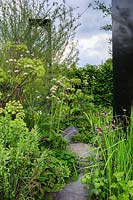 Viking Cruises: The Art of Viking Garden. Stepping stone pathway through naturalistic planting, including Myrica gale, Angelica archangelica, Salix - Shrubby Willow, Valeriana officinalis and Aquilegia. Sponsor: Viking Cruises. 
