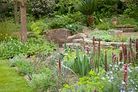The Resilience Garden. Pink spires of Echium russicum, are planted with Euphorbia seguierina subsp. niciciana, Linum perenne and Gladiolus byzantinus.
Sponsor: Forestry Commission