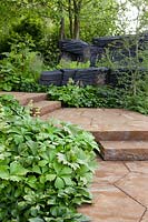 The M and G Garden 2019, The ironstone staircase is bordered by the planting of Hosta 'Devon Green' and Rodgersia podophylla - Sponsor: M and G investments.