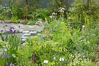 The Manchester Garden, view of the garden and its pool, with planting including Iris sibirica 'Caesar's Brother', Iris sibirica 'Persimmon', Euphorbia amygdaloides var. robbiae, Valerian and Rodgersia. Sponsors: Aviva Investors and Cole Waterhouse.