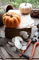 Old garden tools: raffia, clay pot, bypass secateurs, mini pumpkin, Mr Middleton old gardening book and Lunaria annua - Honesty