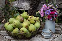 Pyrus 'William Bon Chretien' - Pears - in a wire basket with a bunch of Aster - Michaelams Daisies in old milk can on a wooden table