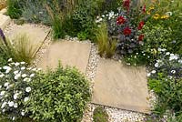 Paving stones in gravel with planting of Dahlia 'Romeo', Stipa tenuissima, Briza media and  Convolvulus cneorum - Four Corners garden - RHS Hampton Court Flower Show 2013.