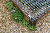Raised metal deck over gravel with succulent plants sempervivum and sedums 