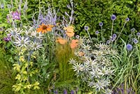 Mixed summer border in the Untying the Knot garden - RHS Hampton Court Flower Show 2014 