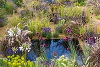 Mixed planting among water pools - The One Show Garden - RHS Hampton Court Flower Show 2014   