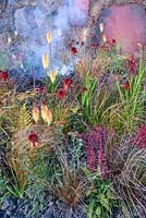 Kniphofia 'Tetbury Torch', Achillea 'Walter Funke' and Achillea 'Terracotta' RHS Hampton Court Flower Show 2014 - Eruption of Unhealed Anger Garden 